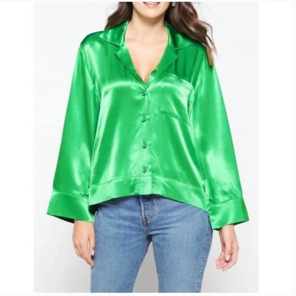 Pistola Sia Long Sleeve Button Down Blouse in Fern Size XL NEW